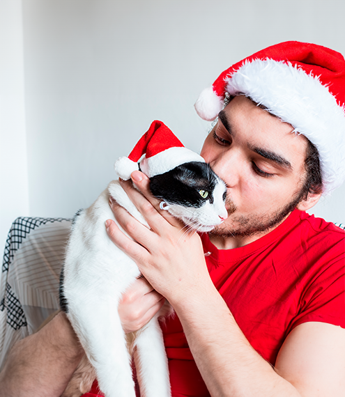 Ideas de regalos navideños para gatos